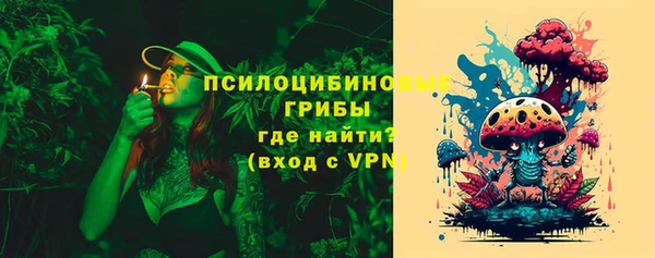стафф Алзамай